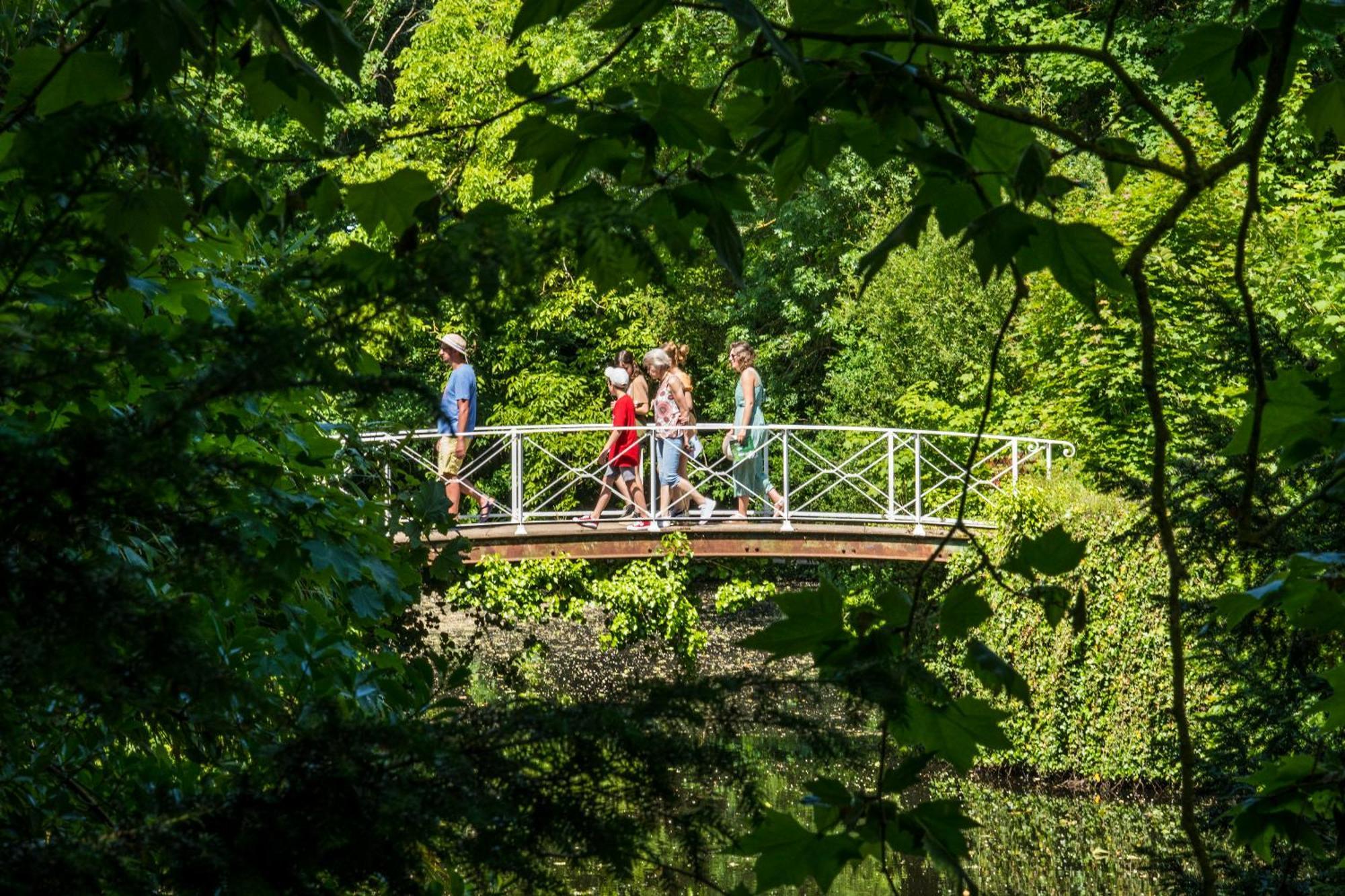 Chateau De La Tourlandry Chemille-en-Anjou Esterno foto