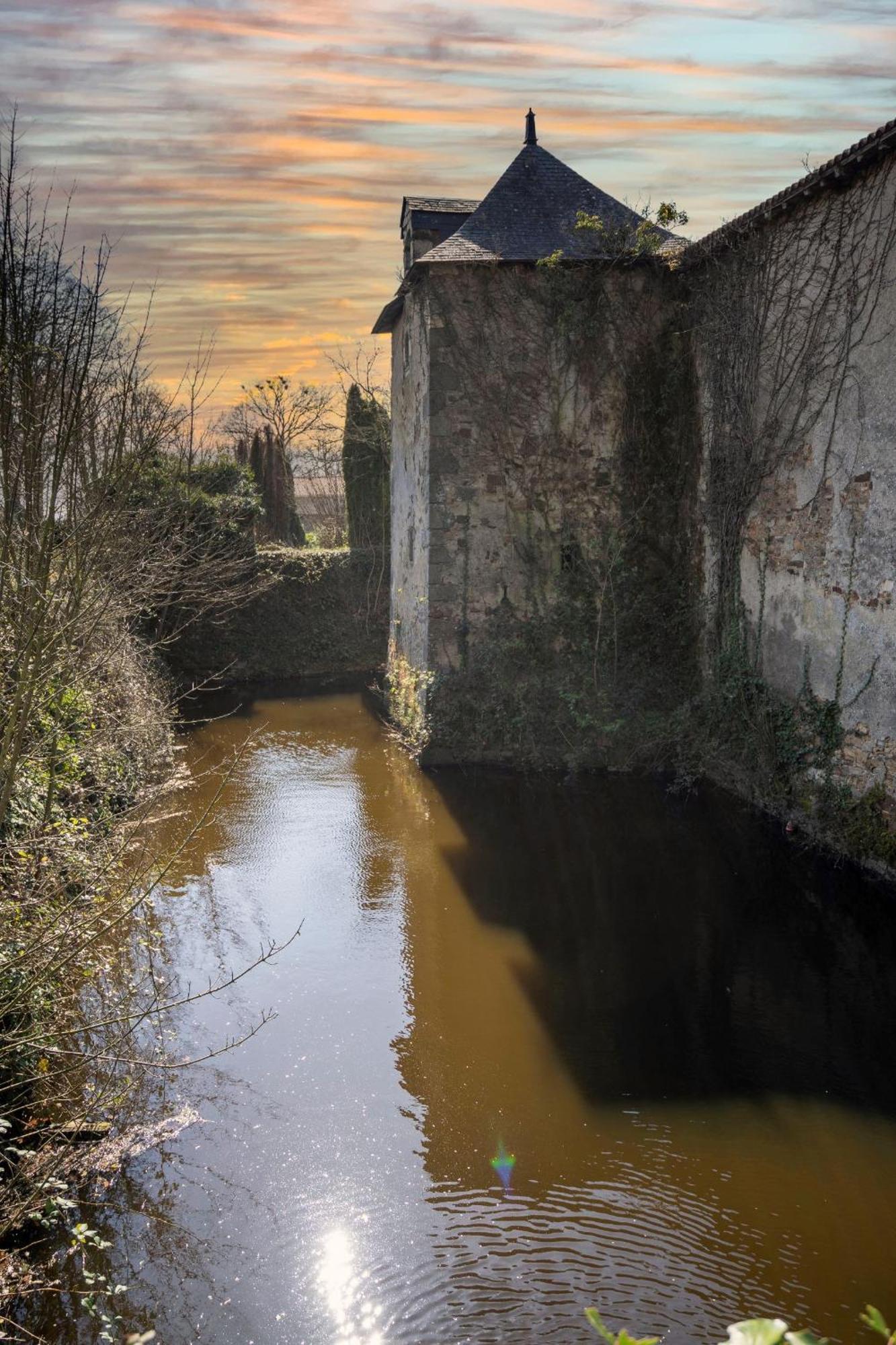 Chateau De La Tourlandry Chemille-en-Anjou Esterno foto